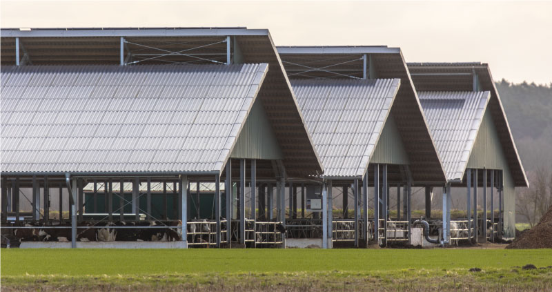 Agriculture, Farming, Wineries